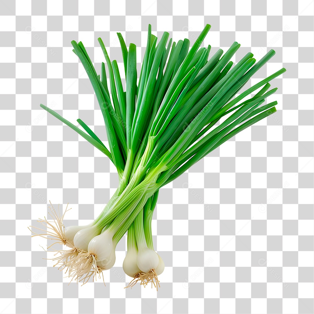 Cebolinhas PNG Transparente