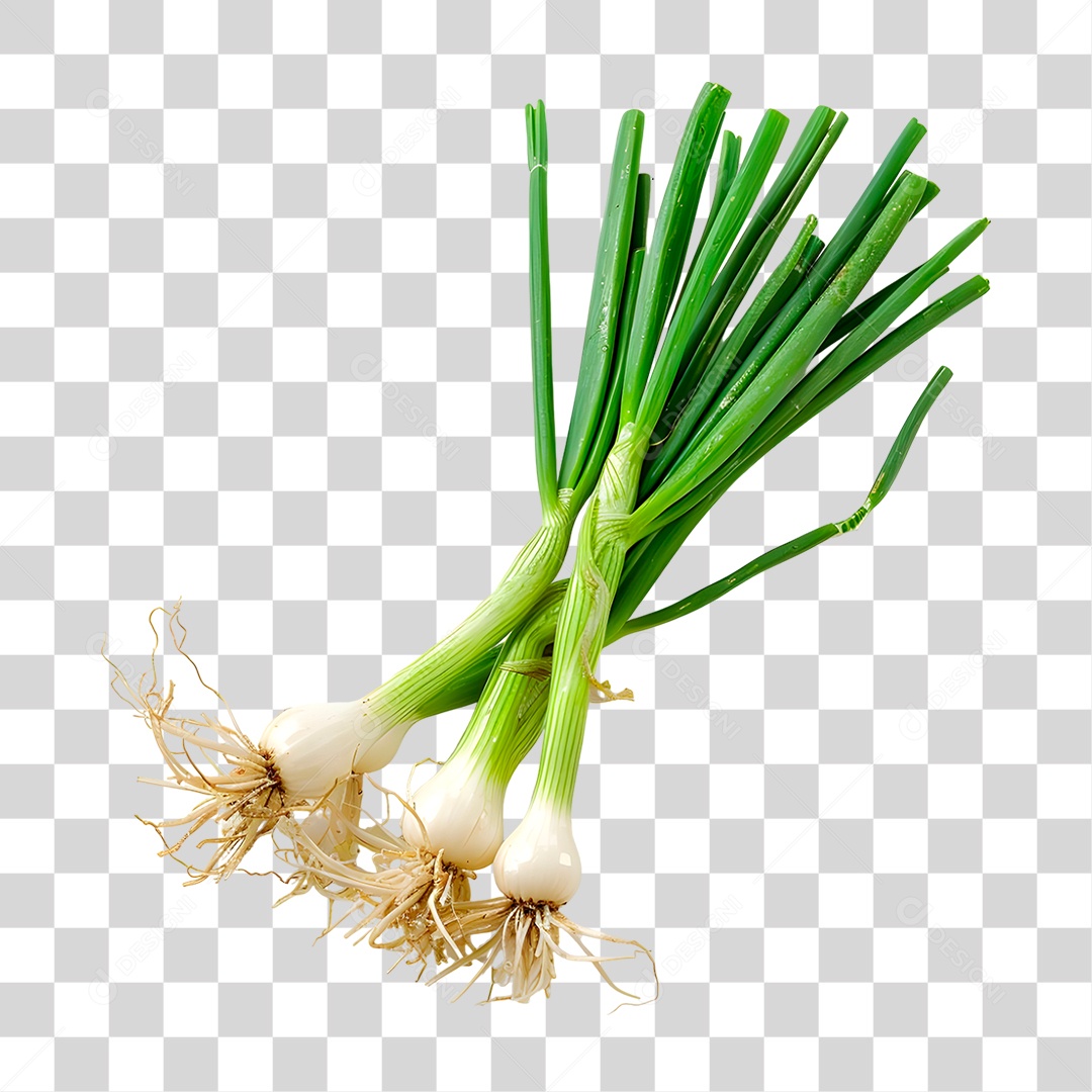 Cebolinha PNG Transparente