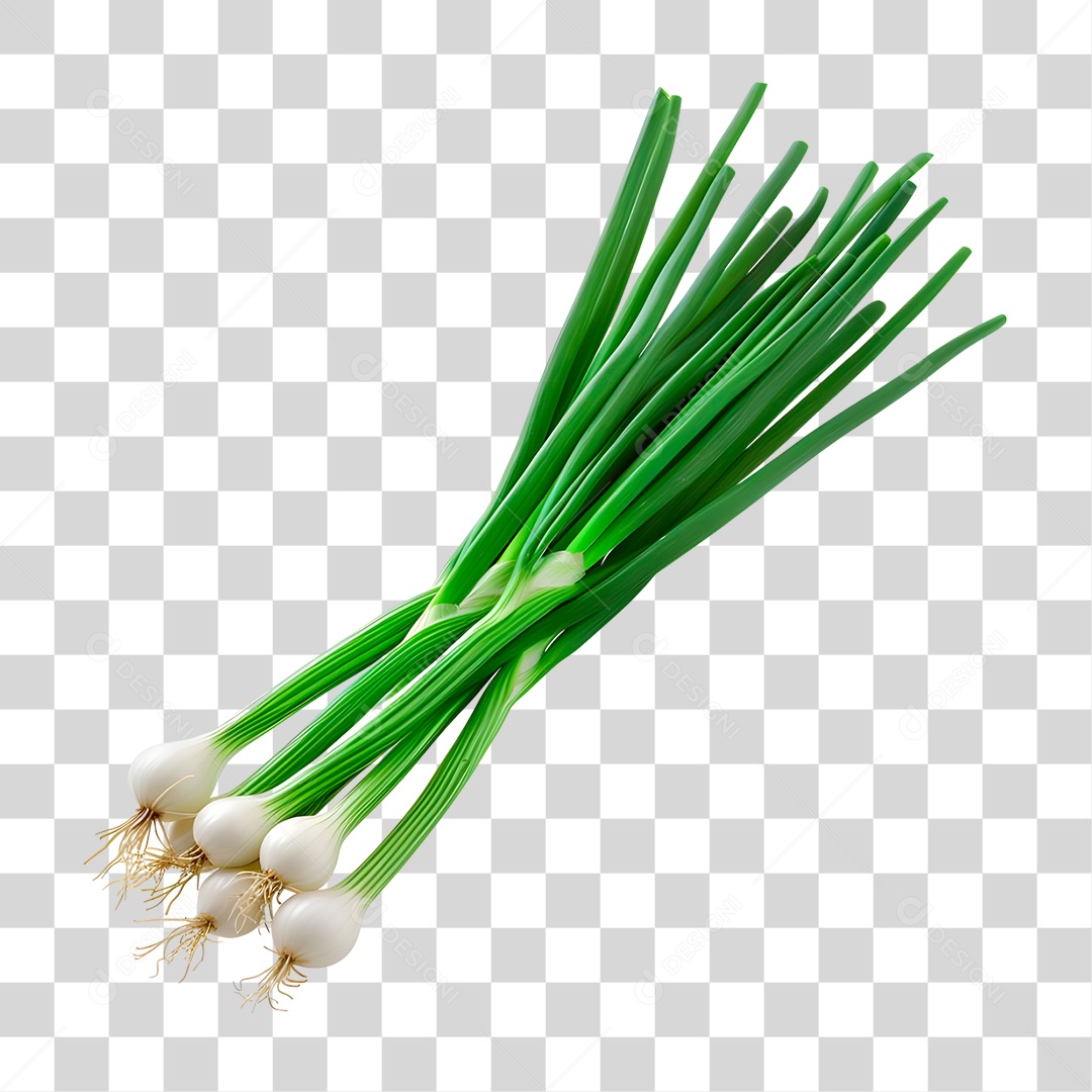 Folhas de Cebolinha PNG Transparente