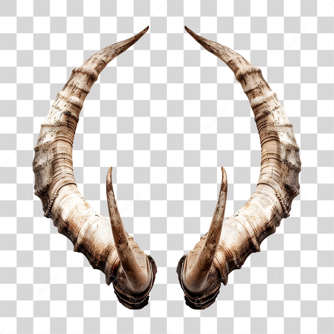 Chifre Pontiagudo PNG Transparente