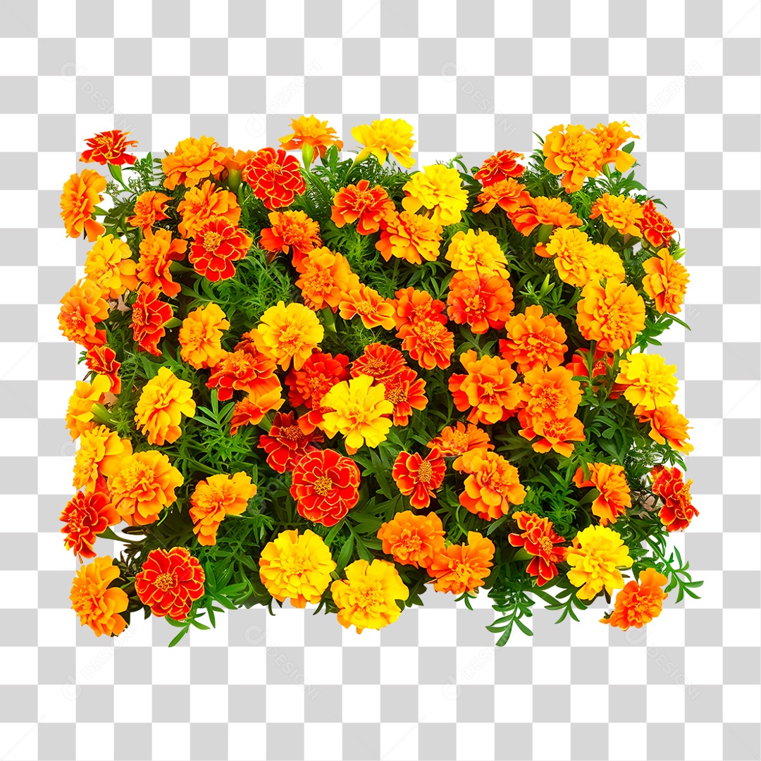 Flores Amarelas PNG Transparente