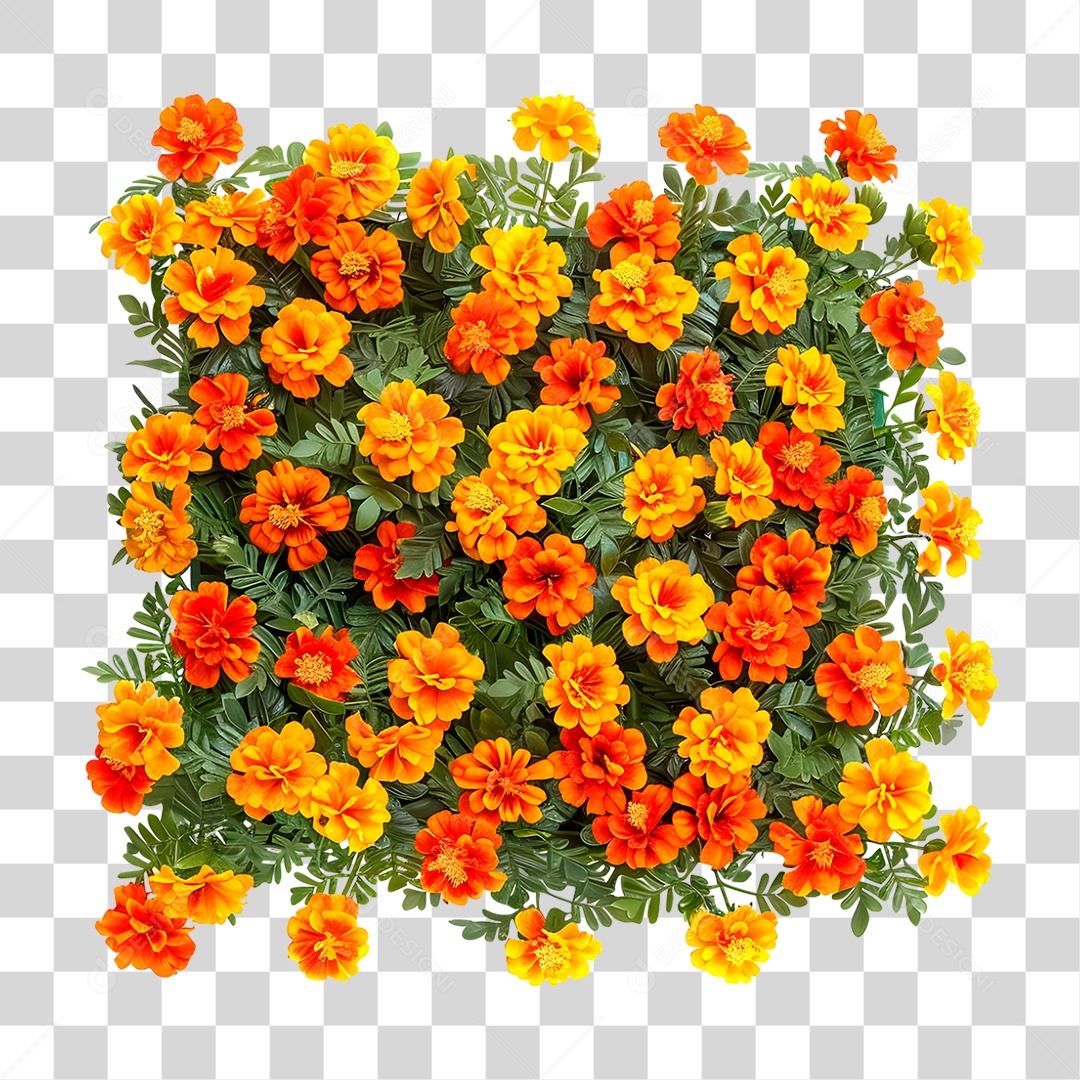 Flores Amarelas PNG Transparente