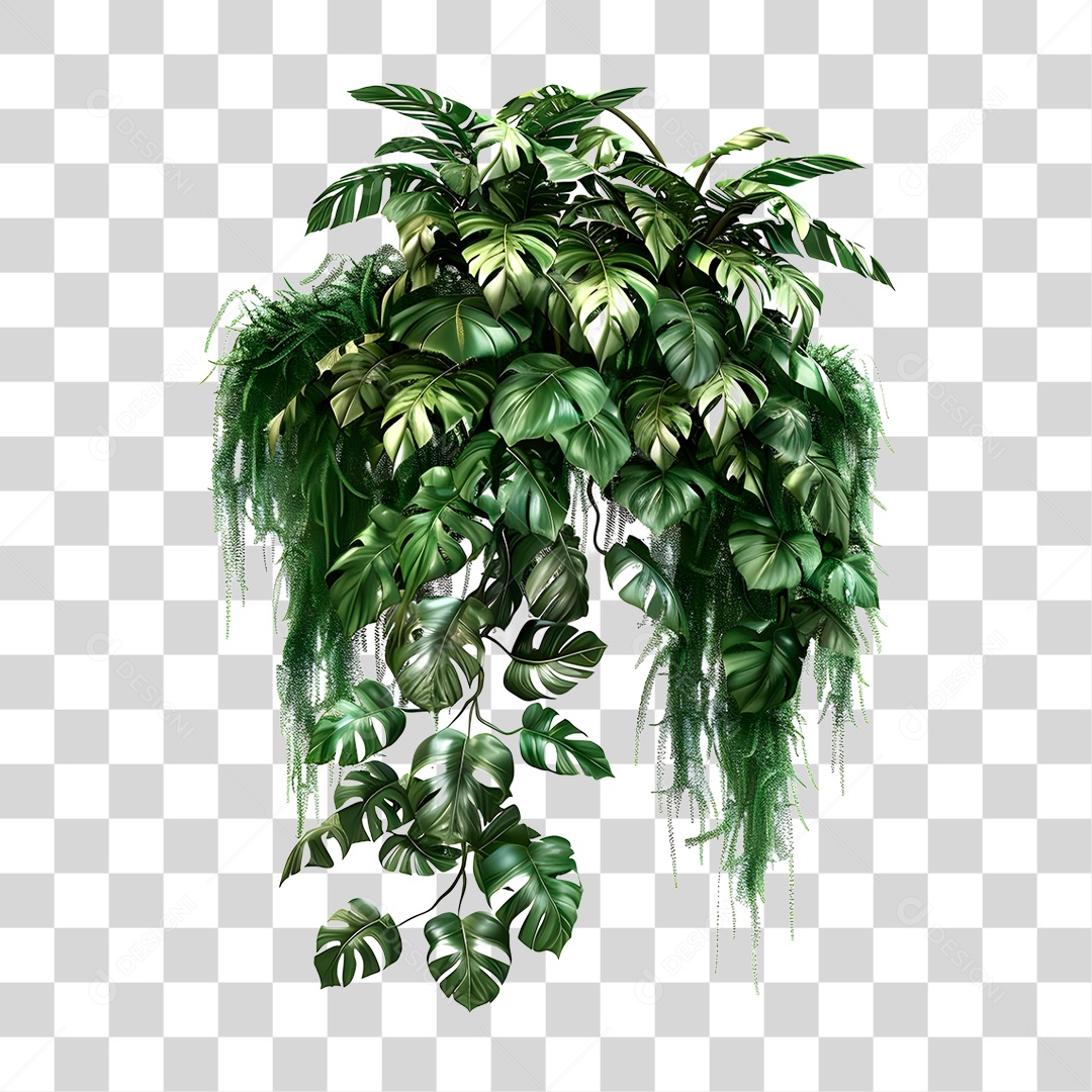 Planta PNG Transparente