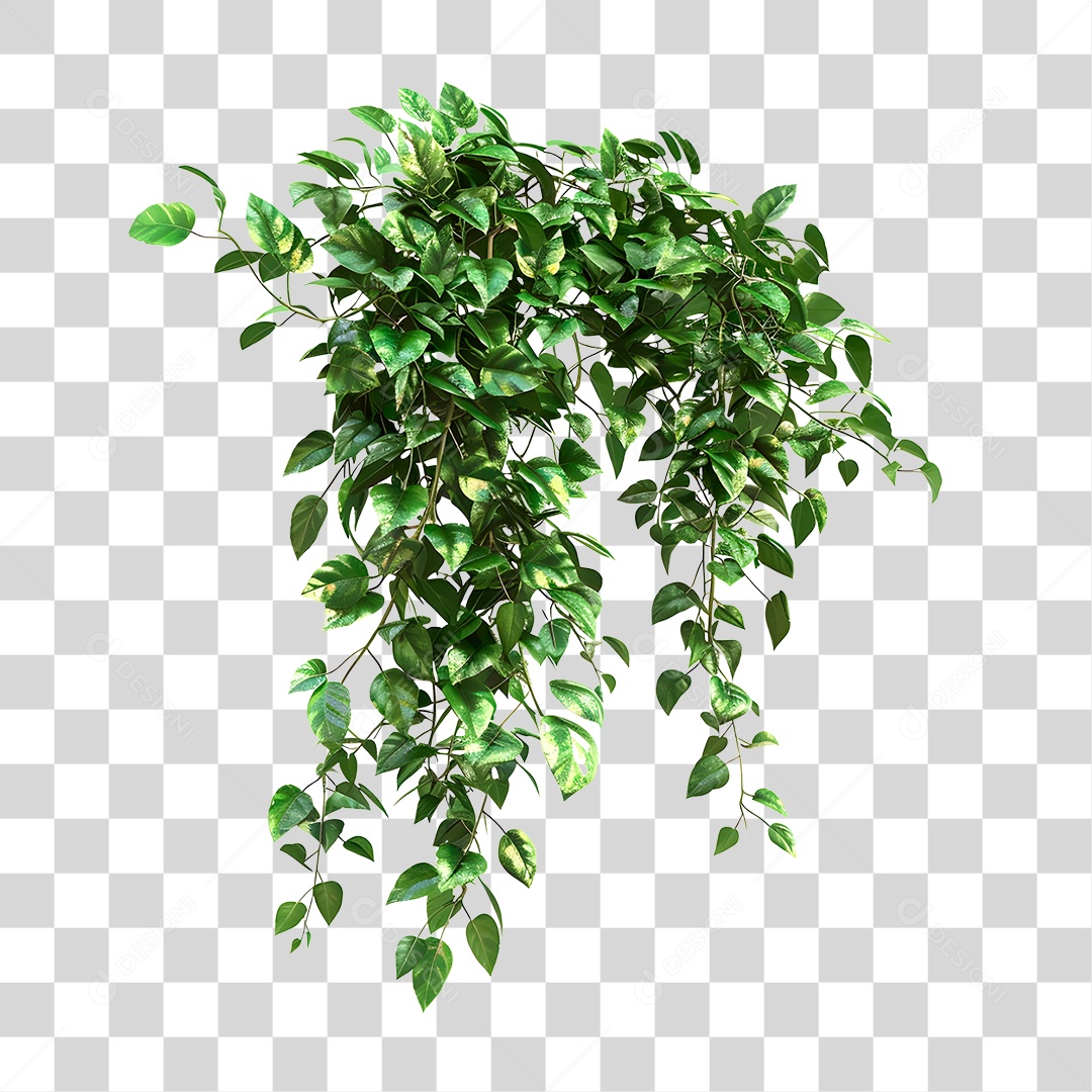 Planta PNG Transparente