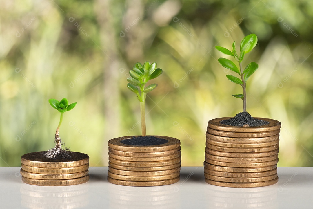 Plante sementes crescendo em pilhas de moedas