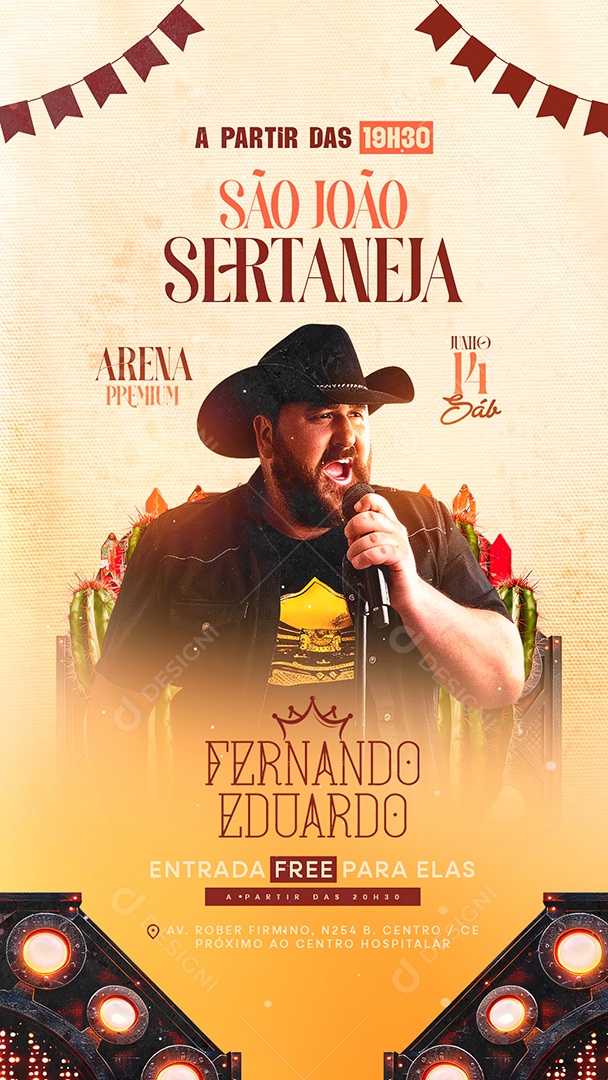 Story Flyer São João Sertaneja Social Media PSD Editável