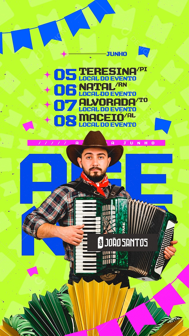 Story Flyer Próximos Shows São João Social Media PSD Editável