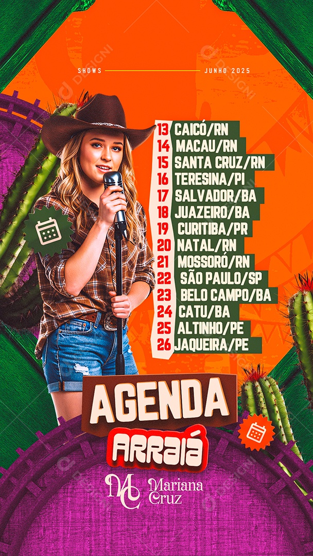 Story Flyer Agenda Arraiá Social Media PSD Editável
