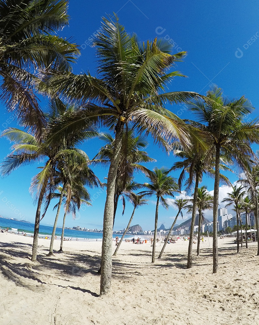 Coqueiros leme de praia