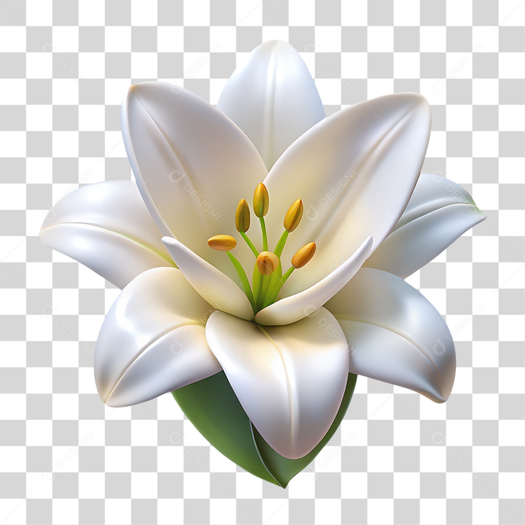 Lírio Branco PNG Transparente
