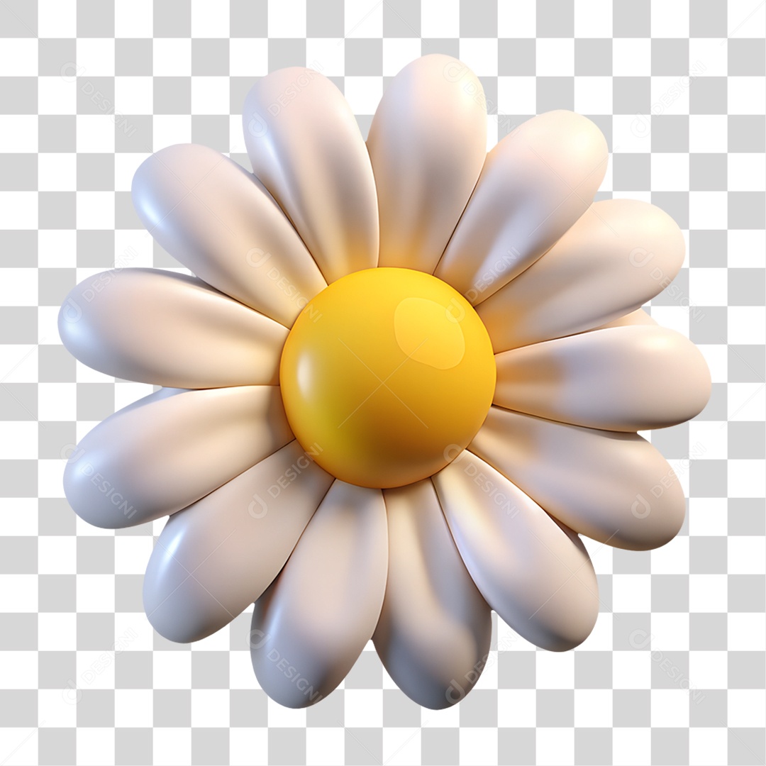 Margarida Branca PNG Transparente