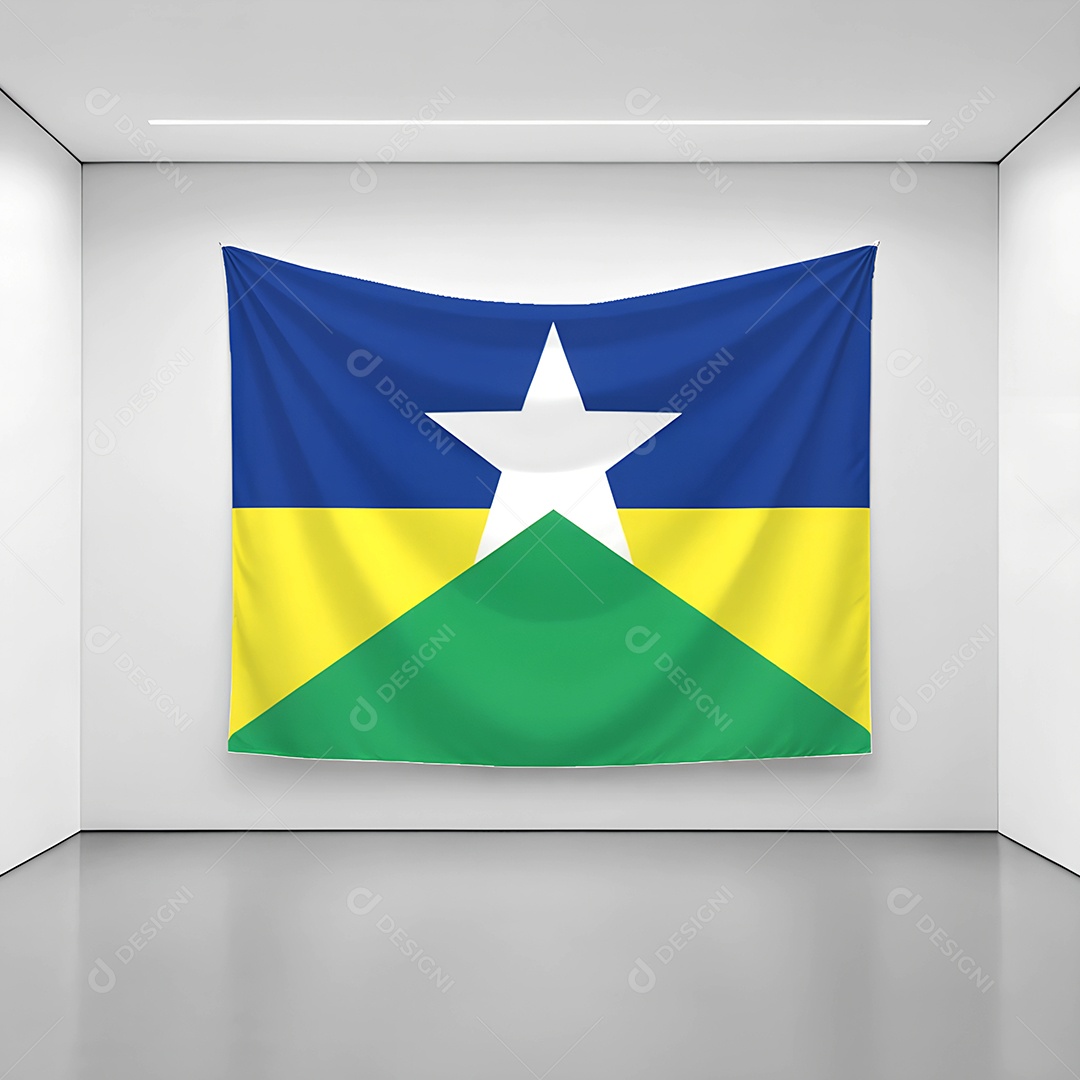 Bandeira do estado de Rondônia exposta em uma parede de uma sala