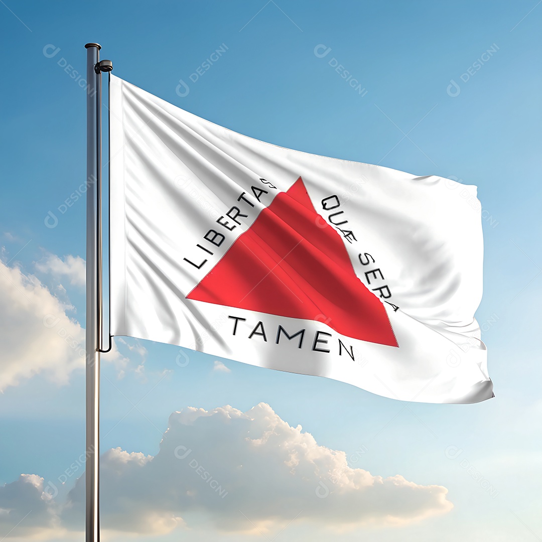 Bandeira do estado de Minas Gerais hasteada ao ar livre