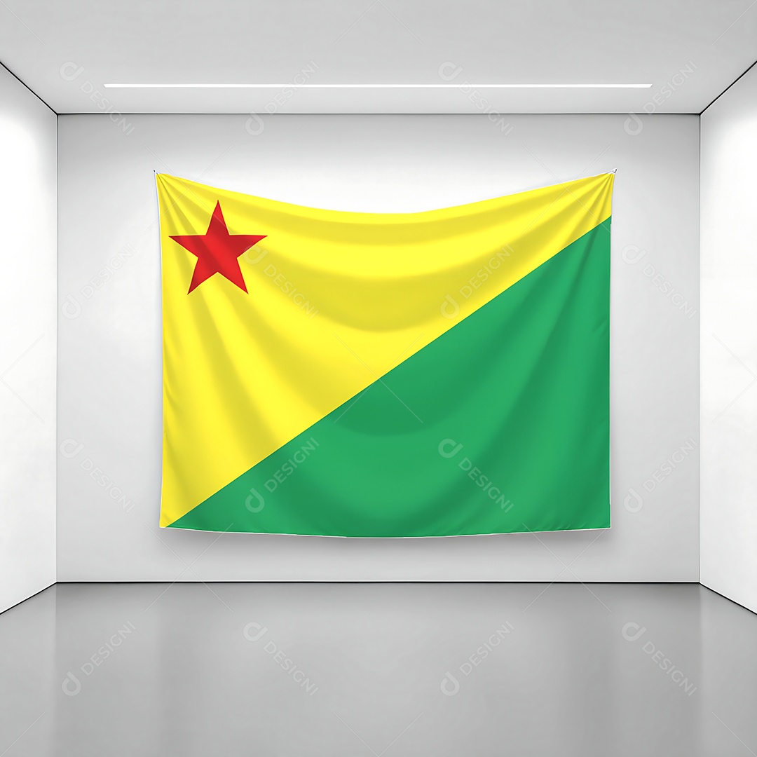 Bandeira do estado do Acre exposta em uma parede de uma sala