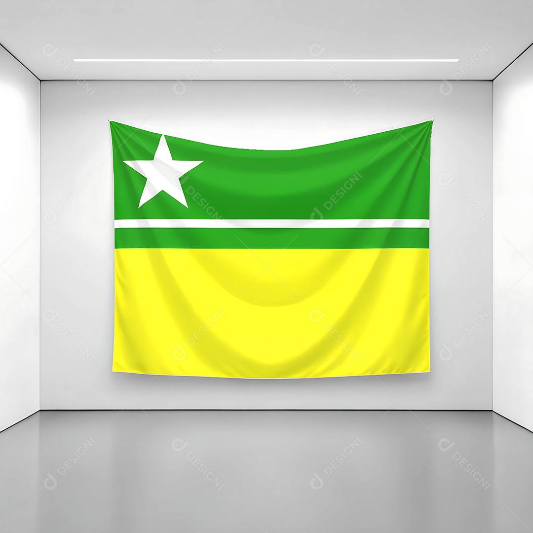 Bandeira da cidade de Boa Vista exposta em uma parede de uma sala