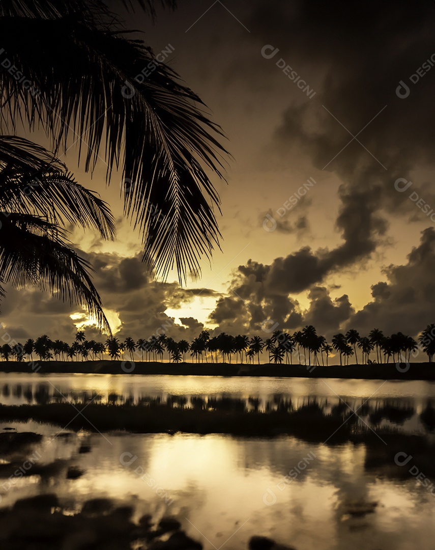 Silhueta de palmeira tropical ao pôr do sol em águas calmas com nuvens