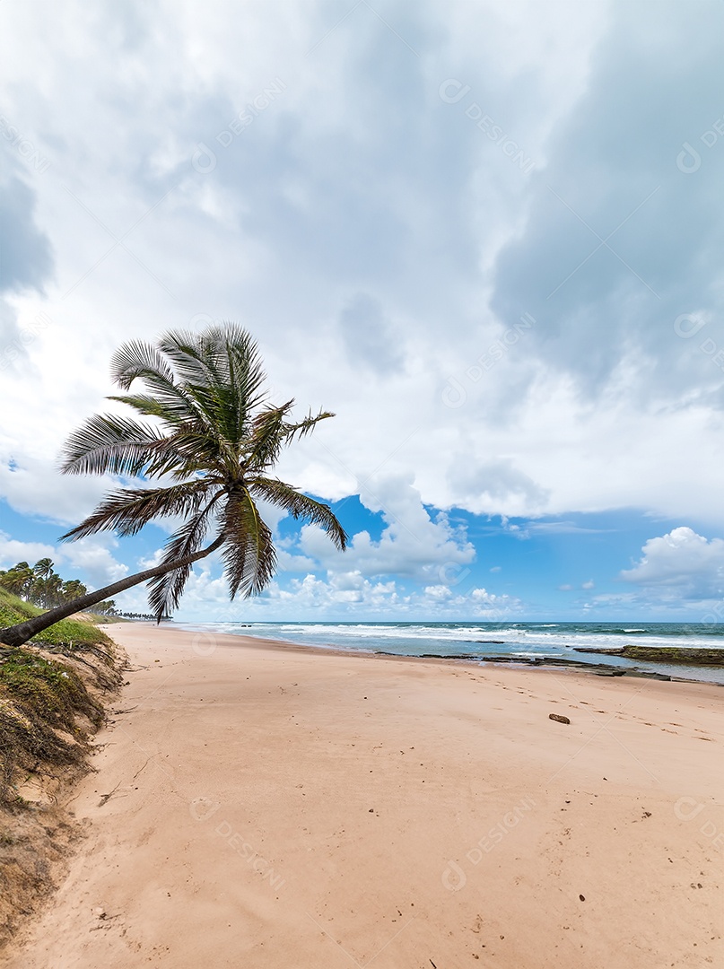 Praia tropical com palmeiras inclinadas areia macia e céu azul