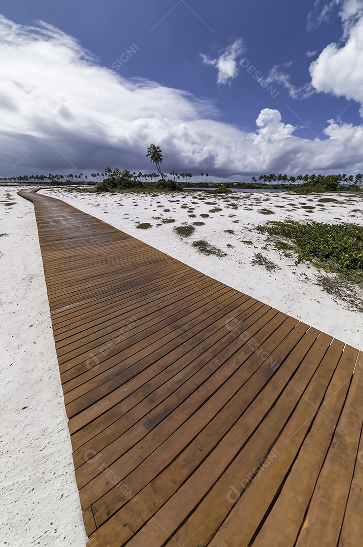 Passarela de madeira sobre areia branca com palmeiras sob céu azul e nuvens