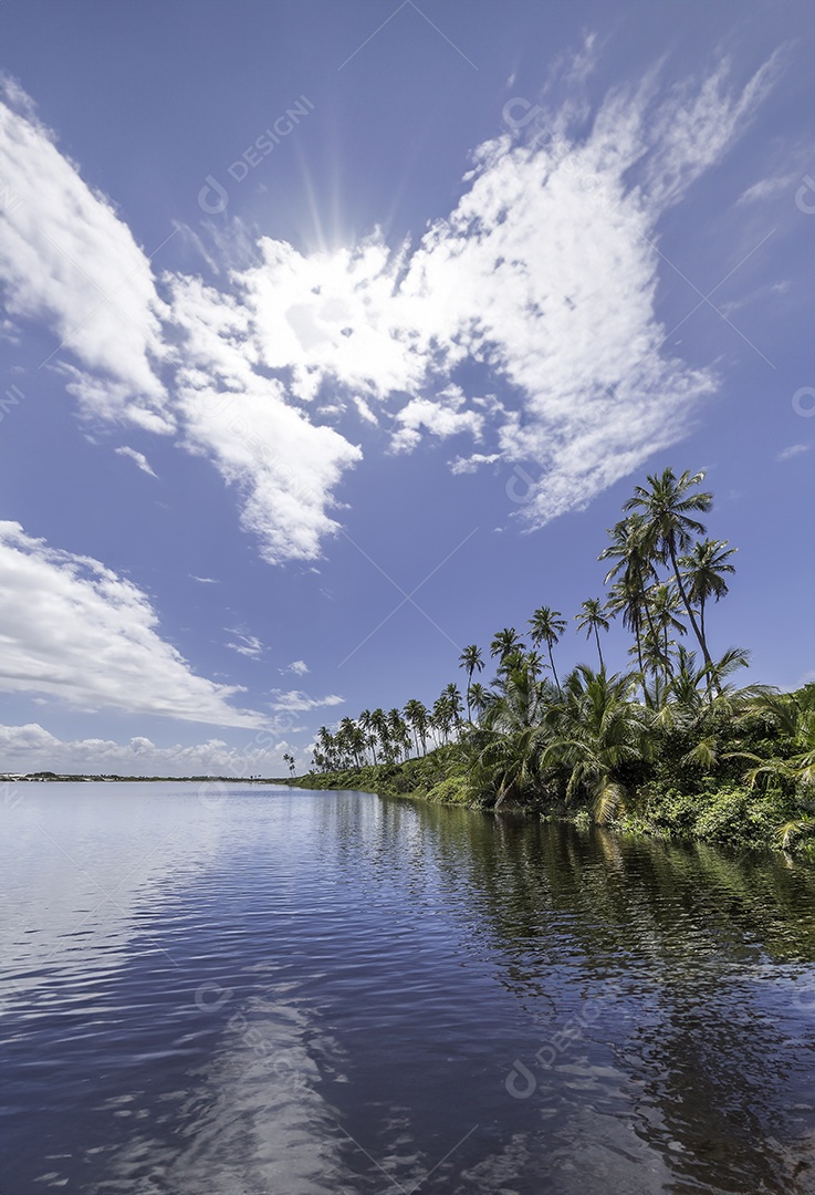 Rio tropical com palmeiras céu azul e nuvens em um dia ensolarado