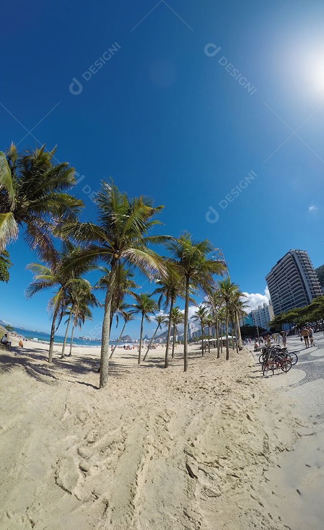 Coqueiros na praia de copacabana no Rio de Janeiro