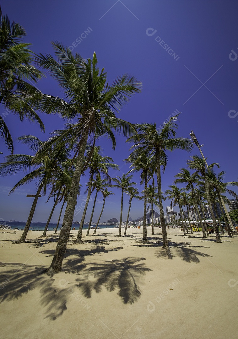 Coqueiros na praia de copacabana no Rio de Janeiro