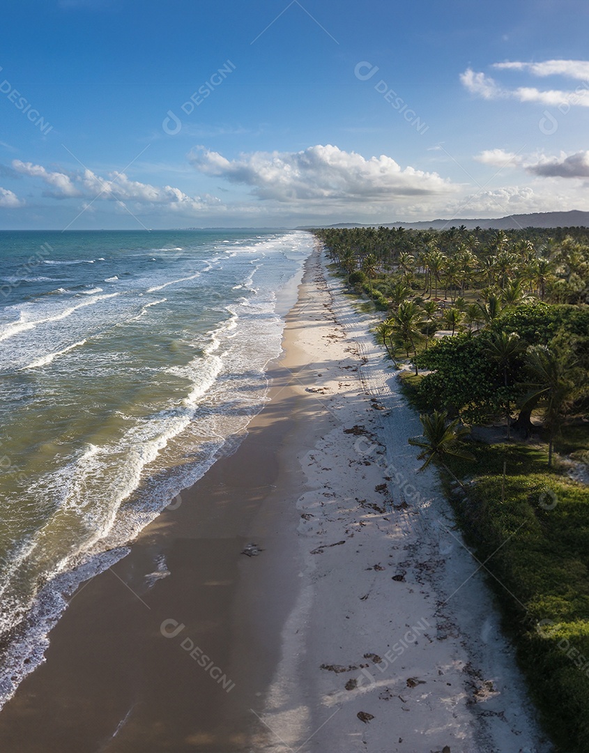 Vista aérea de drone de praia tropical brasileira com coqueiros