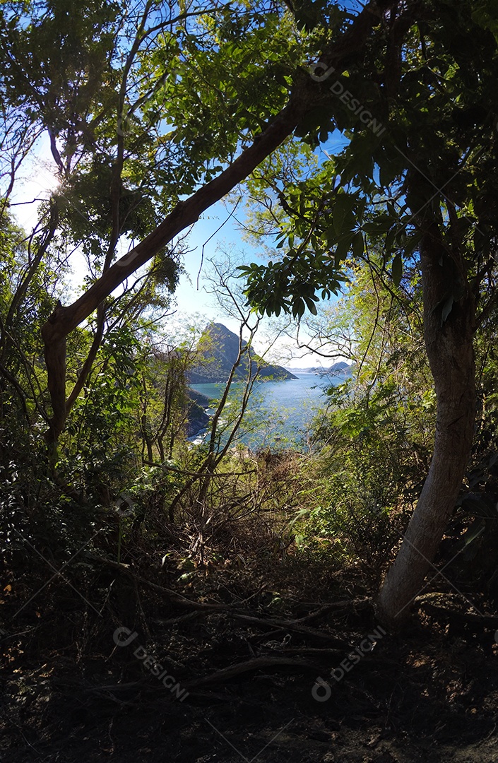 Trilha na floresta revelando vista costeira do pão de açúcar e águas azuis do Rio de Janeiro