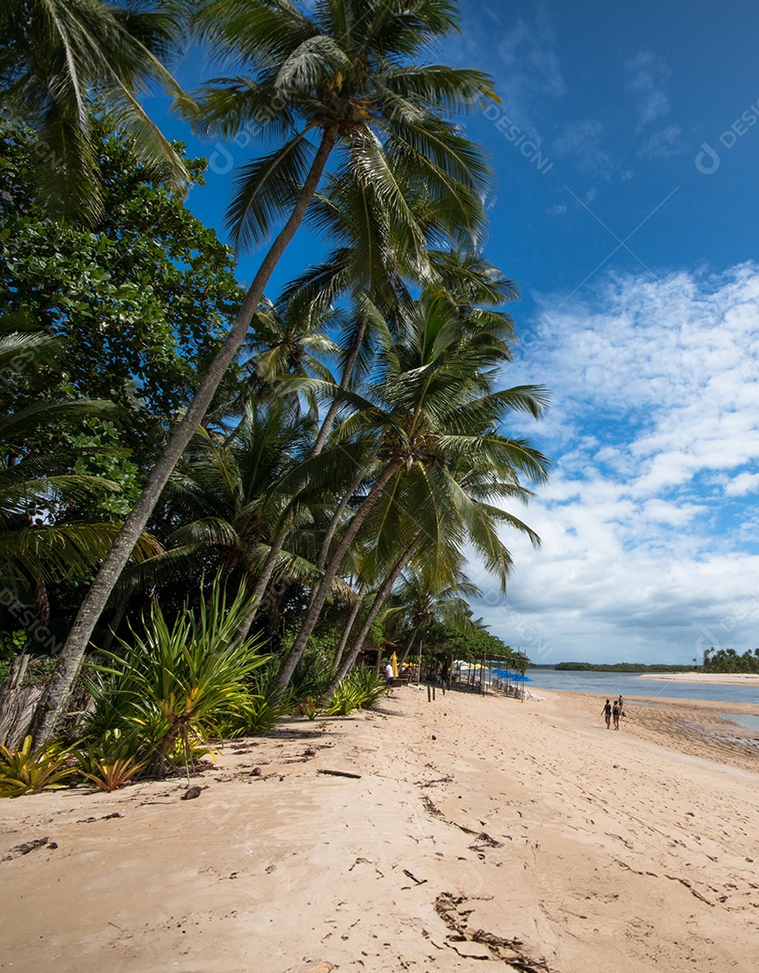 Praia tropical com coqueiros