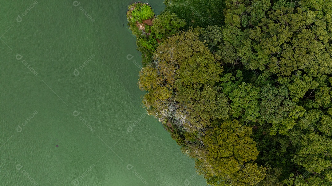 Fotografia aérea mostrando floresta verde ao lado de lago natural Imagem JPG