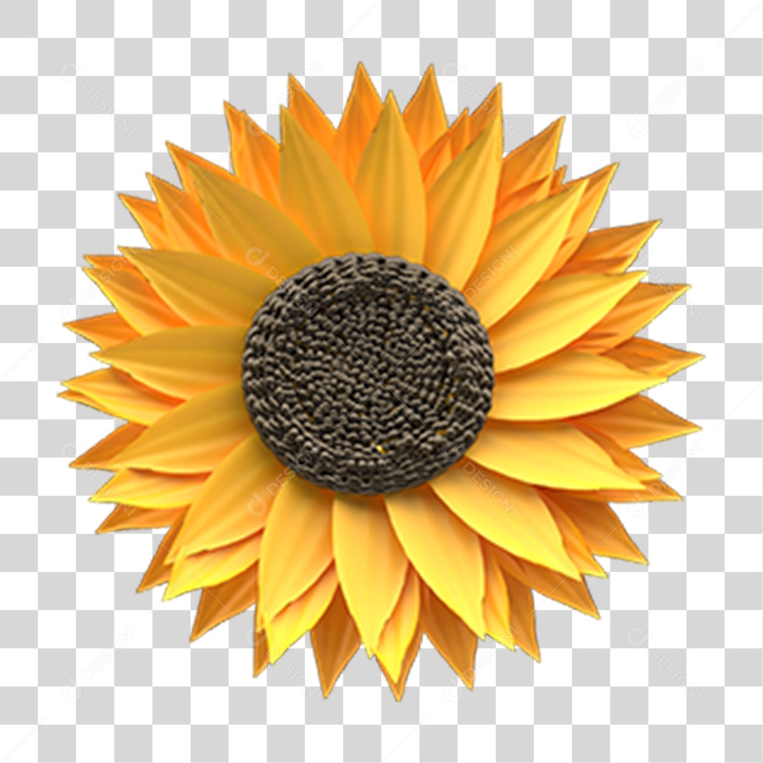 Flor Girassol PNG Transparente