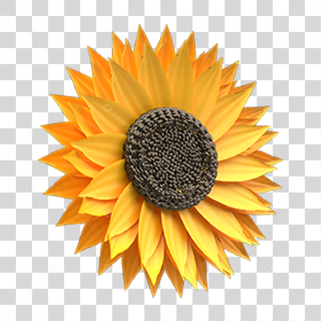 Flor Girassol PNG Transparente