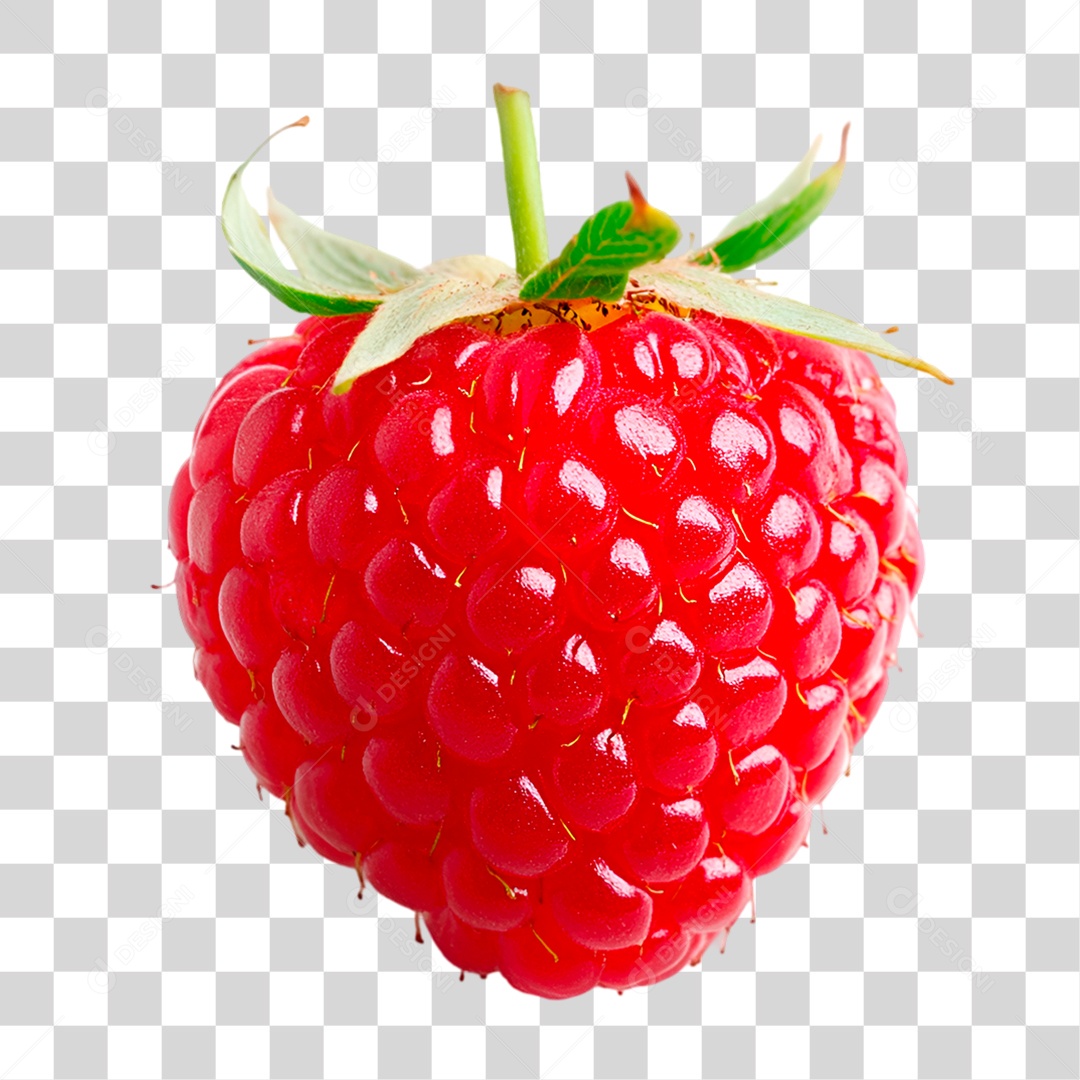 Framboesa Fresca PNG Transparente