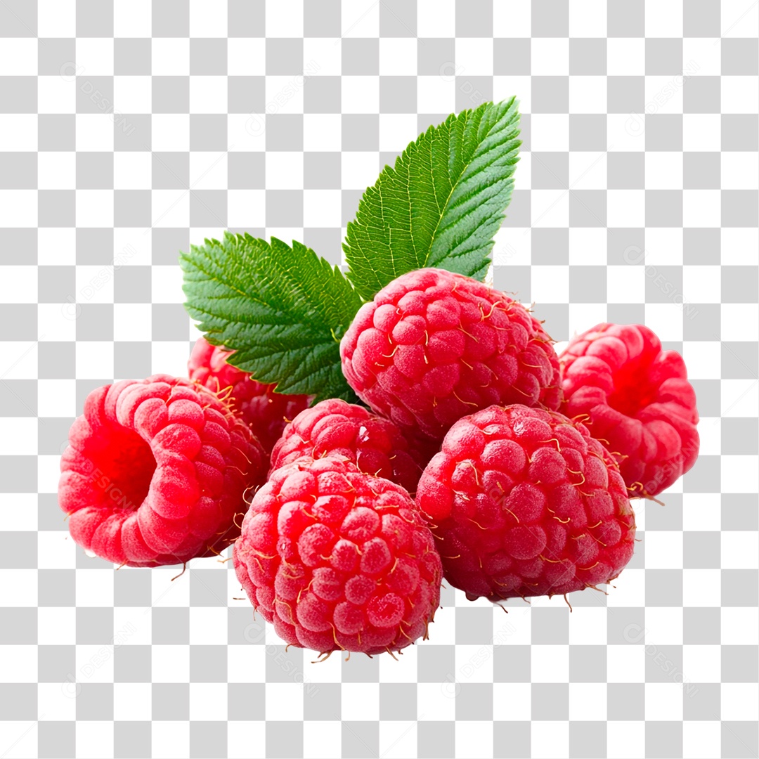 Framboesas Frescas PNG Transparente