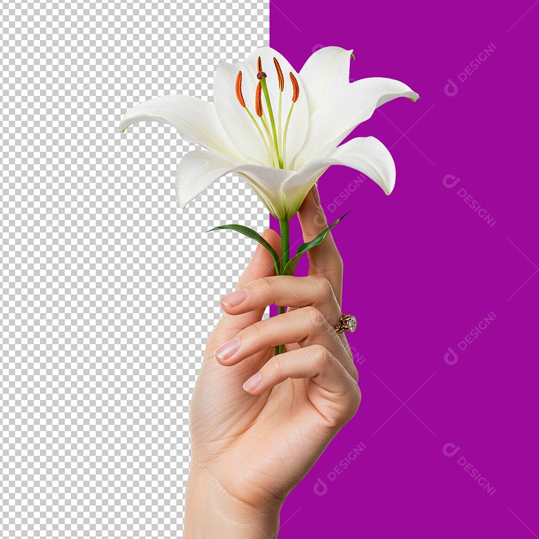 Elemento 3D Mão Segurando Flor para Composiçaõ PSD
