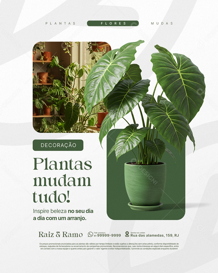Floricultura Decoração Plantas Mudam Tudo Social Media PSD Editável