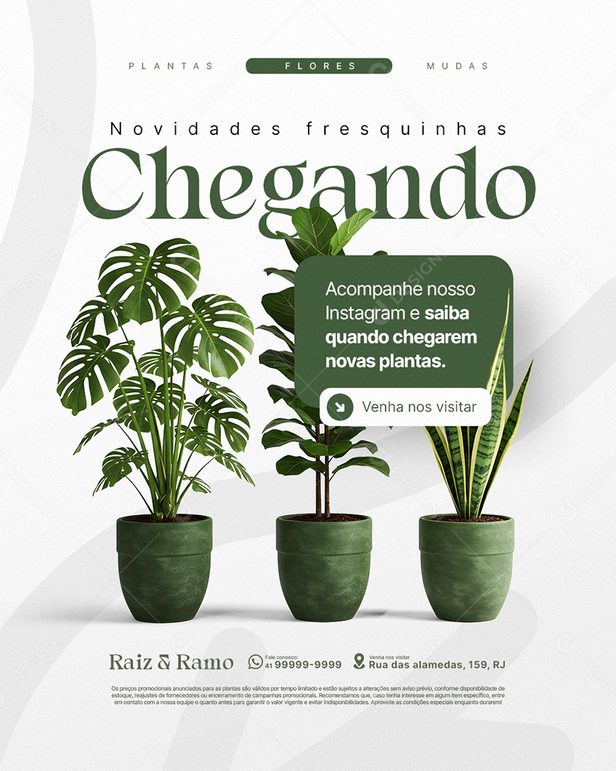 Floricultura Novidades Fresquinhas Chegando Social Media PSD Editável