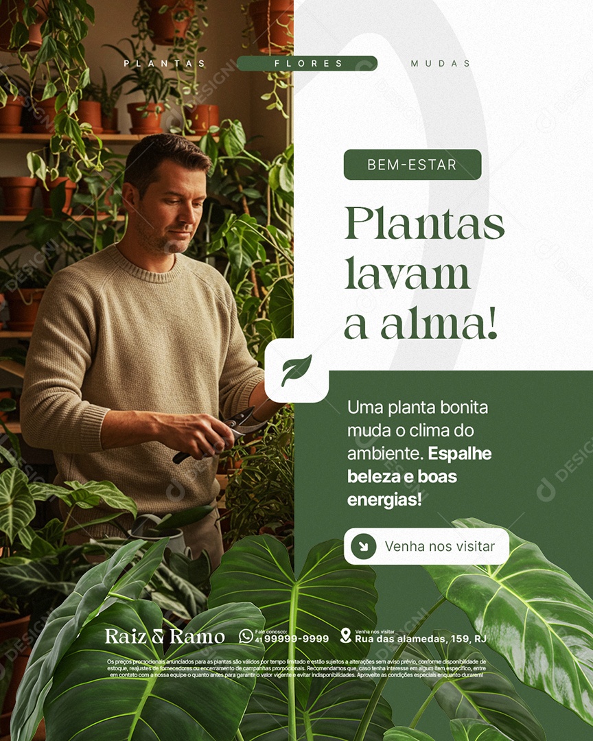 Floricultura Bem Estar Plantas Lavam a Alma Social Media PSD Editável