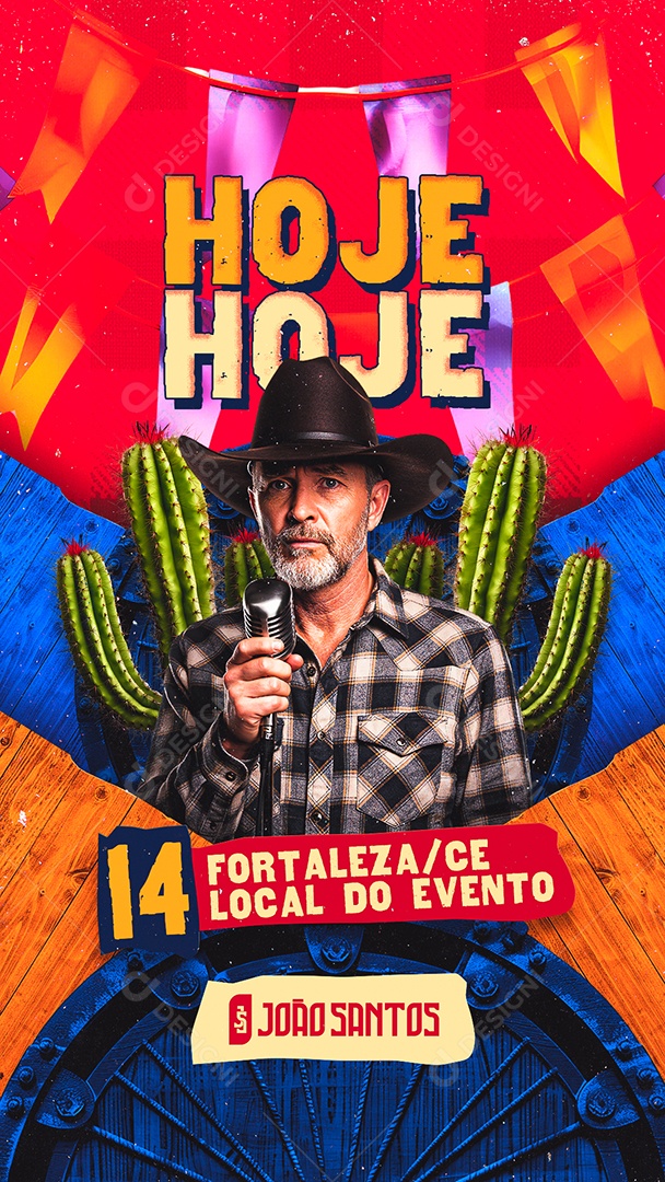 Story Flyer Próximos Shows São João Social Media PSD Editável