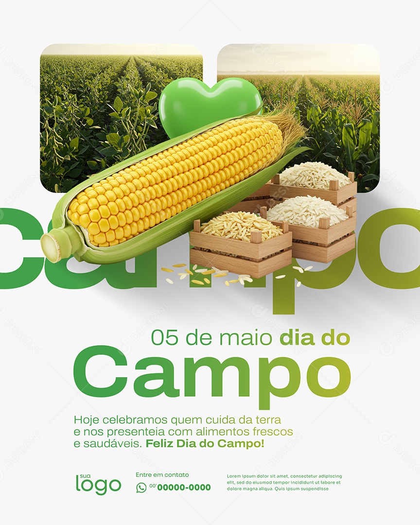 05 de Maio Dia do Campo Social Media PSD Editável