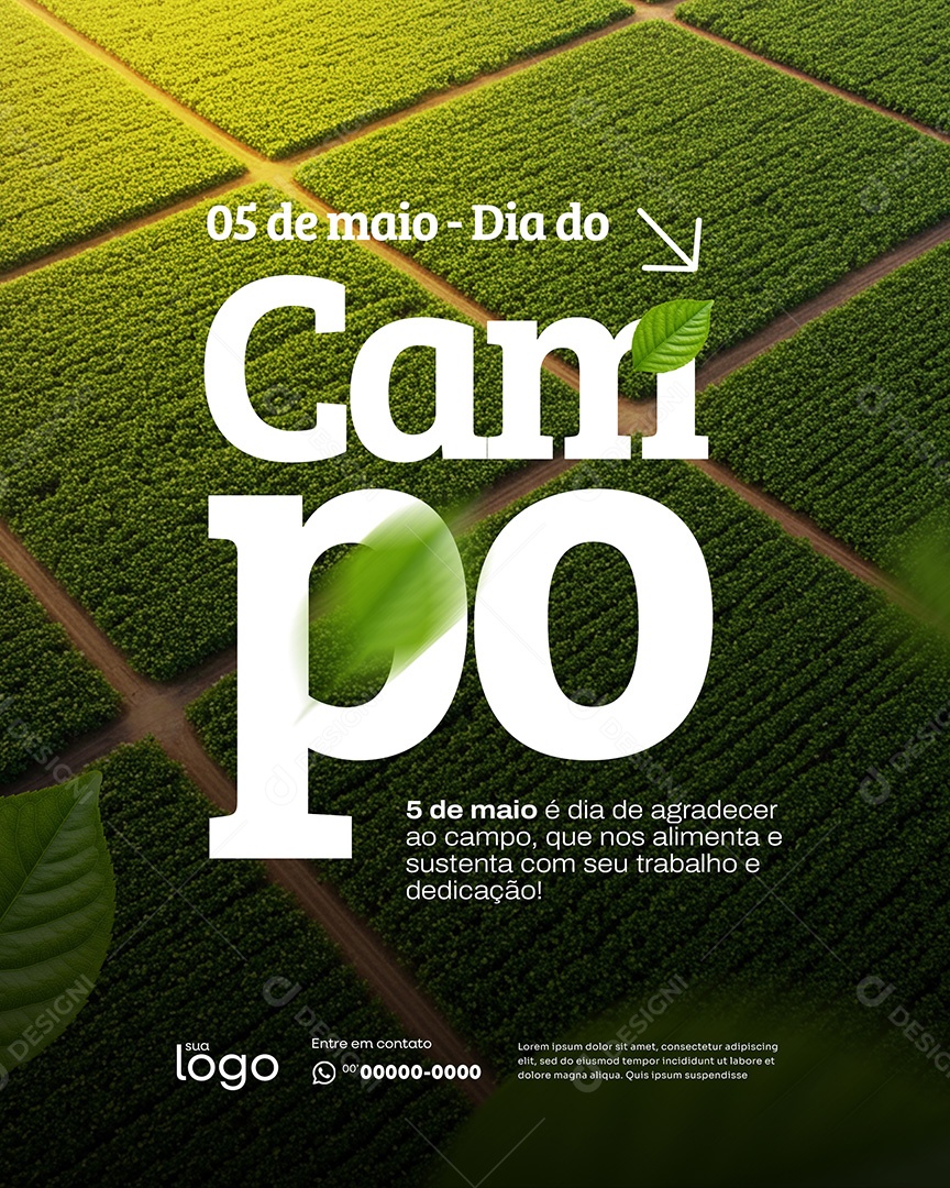 05 de Maio Dia do Campo Social Media PSD Editável