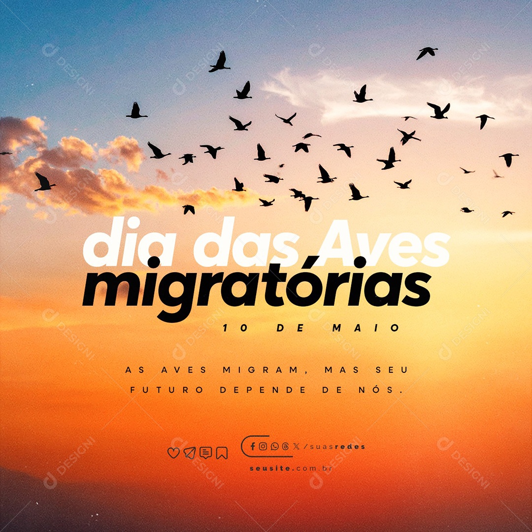 Social Media Dia das Aves Migratórias 10 de Maio PSD Editável