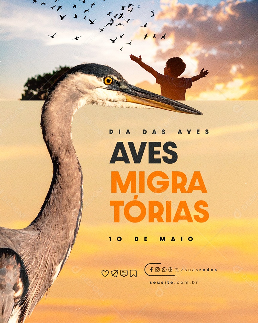 Dia das Aves Migratórias 10 de Maio Social Media PSD Editável