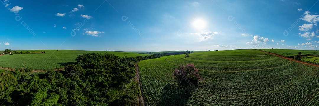 Paisagem rural ampla com céu azul e campos cultivados Imagem JPG