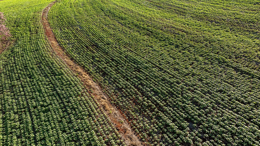 Vista panorâmica de fazenda com plantações e linhas de cultivo Imagem JPG