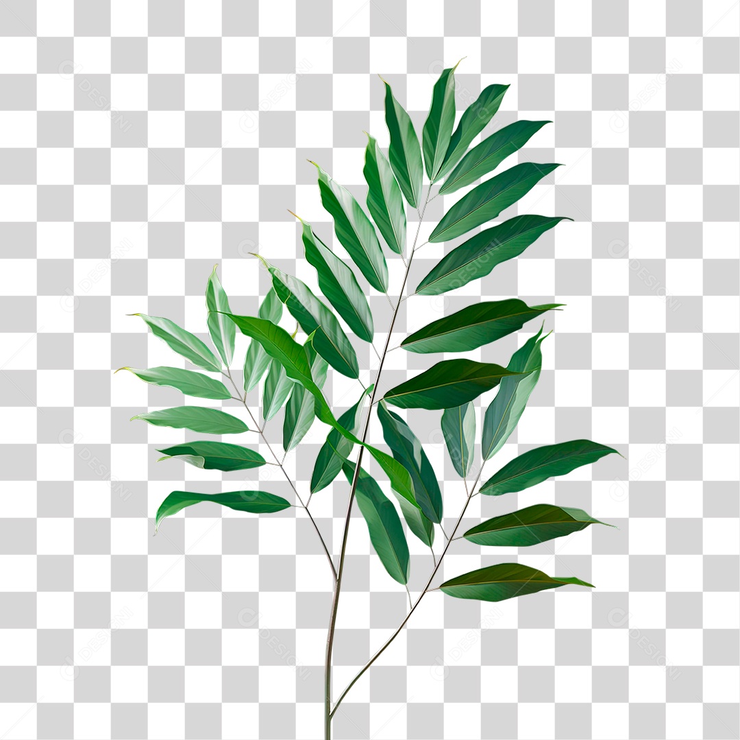 Ramo Verde PNG Transparente
