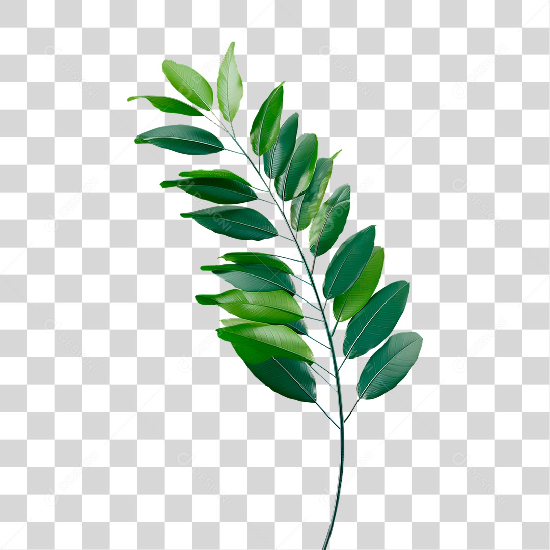 Ramo Verde PNG Transparente