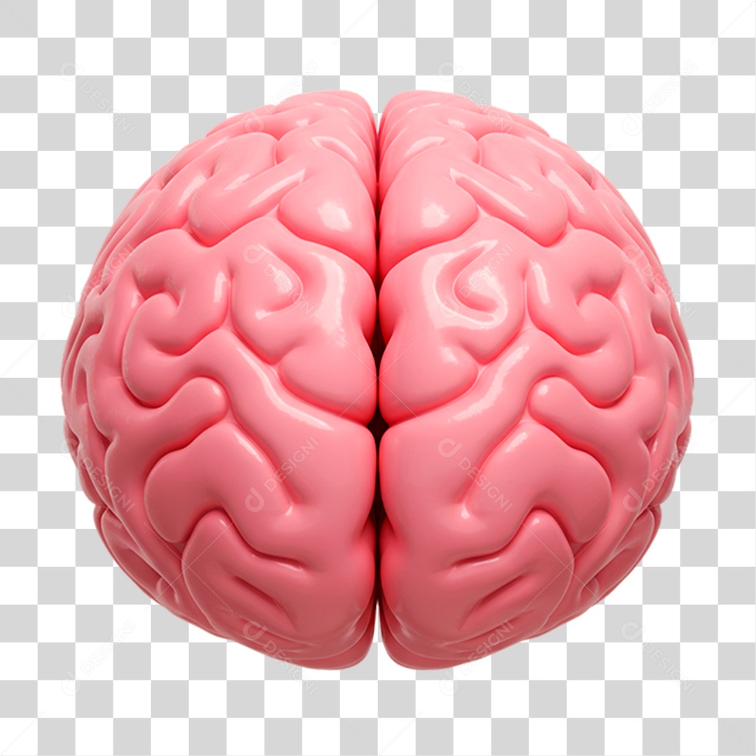 Cérebro PNG Transparente