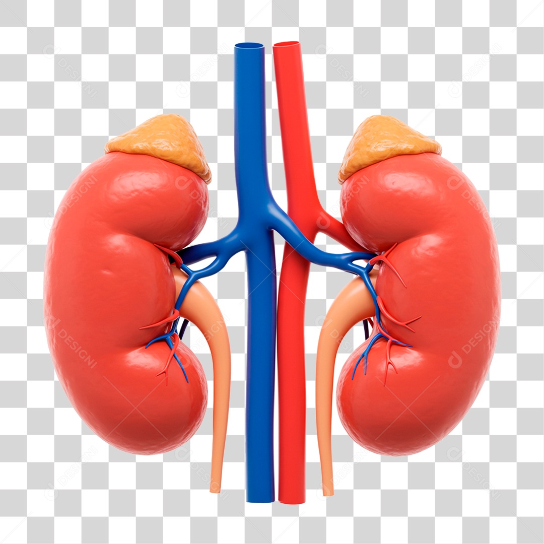 Rins PNG Transparente