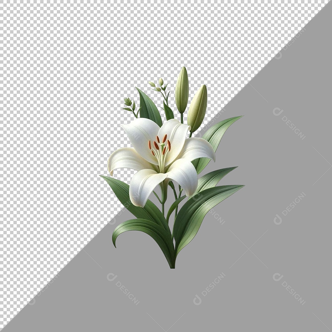 Elemento 3D Flor Lírio para Composição PSD