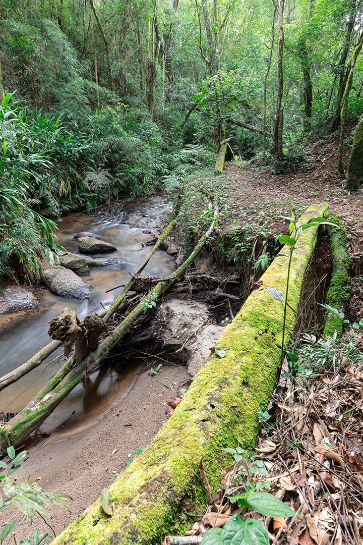 A imagem retrata uma trilha na Praia Vermelha, localizada na Ilha Grande, no Rio de Janeiro, Brasil